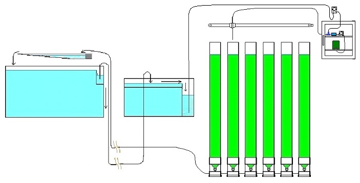 Plankton Towers